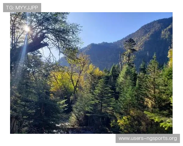 壹号app南宫集团用户常见问题及解决方案全方位指导帮助用户快速上手